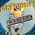 Gin Rami